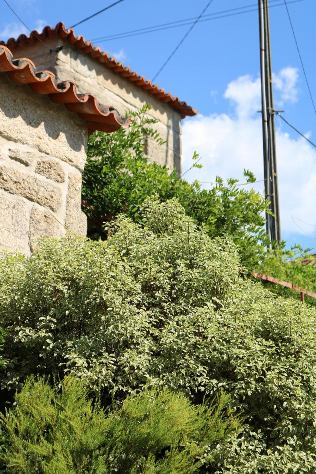 Casa Da Eira Villa Marco de Canaveses Exterior photo